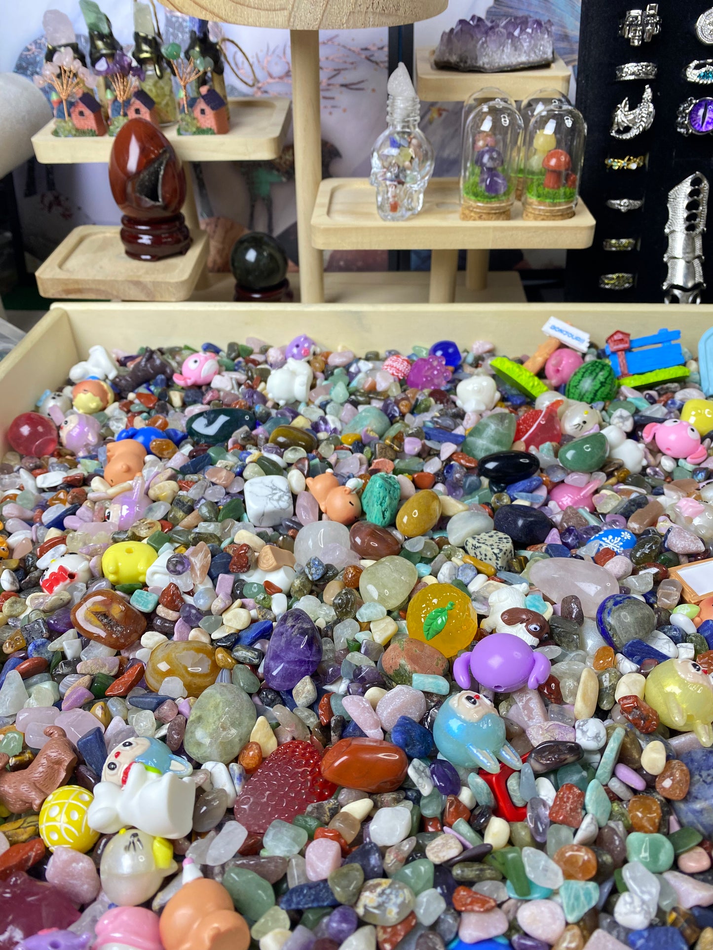 Victopia Treasure Hunt
